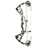 Image 1 : Hoyt Carbon RX4 Ultra 32" - $1,600