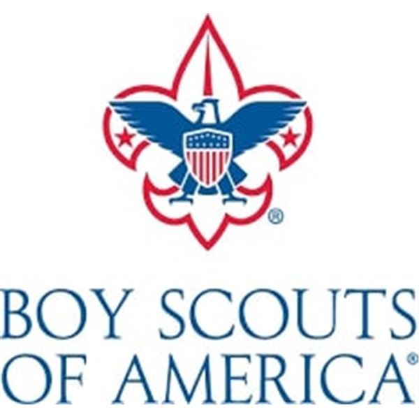 Boy Scout Yard Cleanup -$PRICELESS$