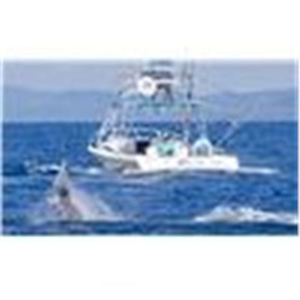 5 Nights (6 Days) Epic Fishing & Rainforest Adventure for 2 - $7,737