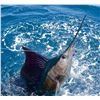 Image 3 : 5 Nights (6 Days) Epic Fishing & Rainforest Adventure for 2 - $7,737