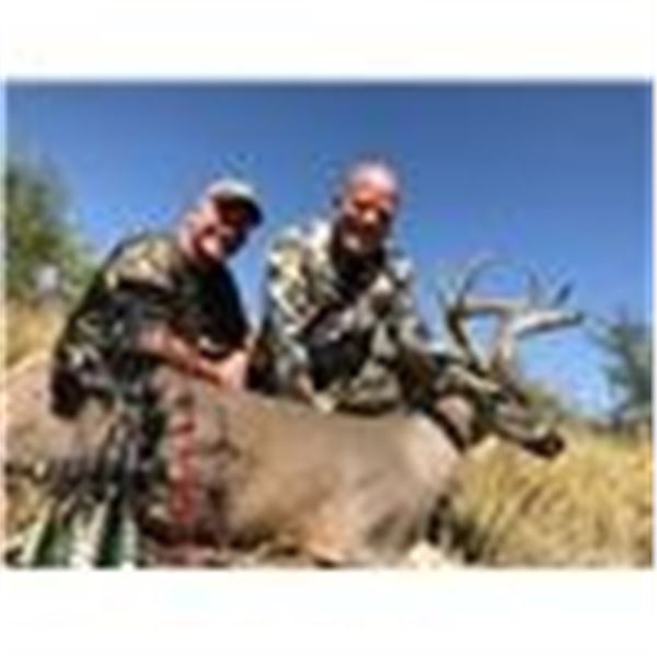 Archery Coues Deer and Javalina Hunt in Sonora, Mexico - $3,500
