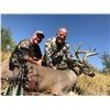 Image 1 : Archery Coues Deer and Javalina Hunt in Sonora, Mexico - $3,500