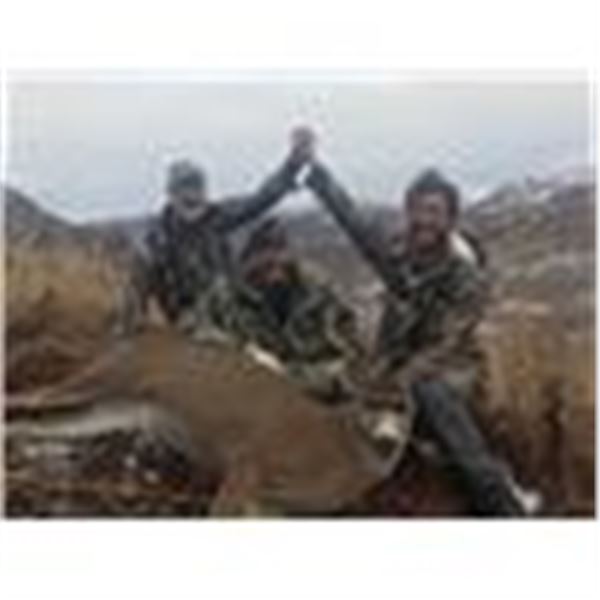 1 x 1 Guided Sitka Black-Tail Hunt on Kodiak Island - $5,500