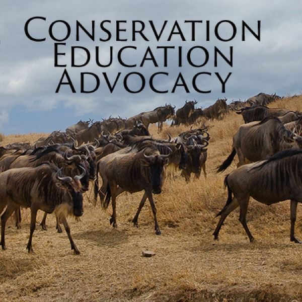 Dallas Safari Club Life Sponsor Membership