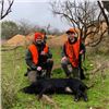 Image 1 : 3-Day/2-Night Texas Hog Hunt for 2 Hunters with Unlimited Hogs