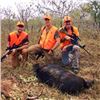 Image 3 : 3-Day/2-Night Texas Hog Hunt for 2 Hunters with Unlimited Hogs