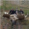 Image 5 : WINNER’S CHOICE - Alaskan Caribou or Alaskan Mountain Goat Hunt