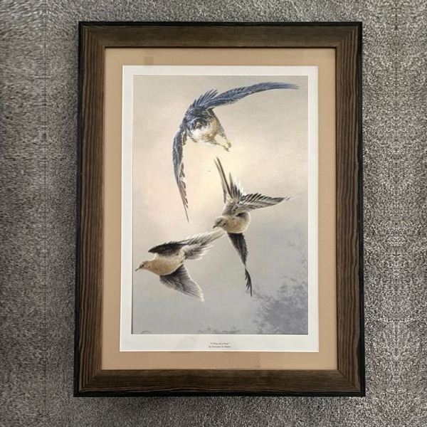 Framed Artwork - “A WING AND A PREYER” by Christopher B. Walden