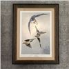 Image 1 : Framed Artwork - “A WING AND A PREYER” by Christopher B. Walden