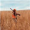 Image 2 : 1 Day Nebraska Pheasant Hunt for 4 Hunters on Private Ground