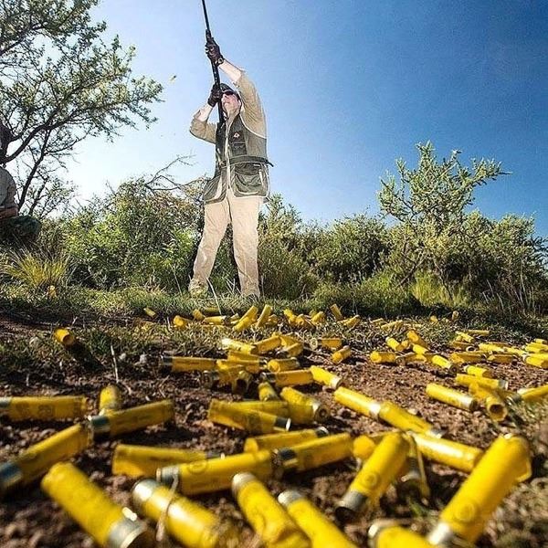 4-Night/5-Day High Volume Dove Hunt & Dorado Fishing Trip for 6