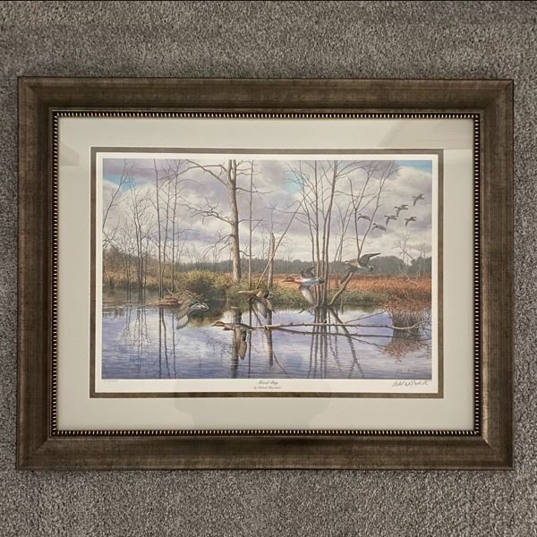 Framed Artwork - “MIXED BAG” by Richard Plasschaert