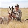 Image 1 : 4-Day/5-Night Archery Pronghorn Antelope Hunt for 1 Hunter