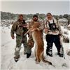 Image 1 : 5-Day Guided New Mexico Mountain Lion Hunt for 1 Hunter