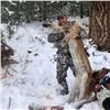 Image 2 : 5-Day Guided New Mexico Mountain Lion Hunt for 1 Hunter