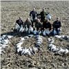 Image 2 : 1-Day/1-Night Guided Missouri Goose Hunt for 4 Hunters