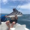 Image 1 : 6-Day Mexico Inclusive Deep Sea Fishing Trip for 1 Angler for Roosterfish, Sailfish, and Blue Marlin