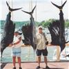 Image 3 : 6-Day Mexico Inclusive Deep Sea Fishing Trip for 1 Angler for Roosterfish, Sailfish, and Blue Marlin