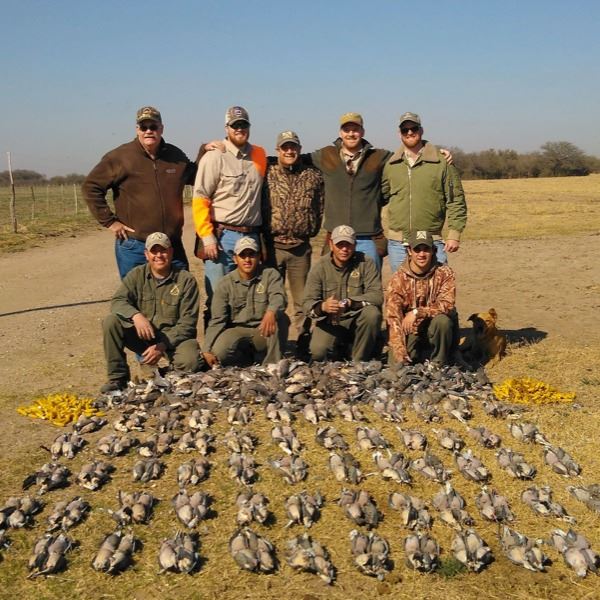 4-Day Argentina Dove Hunt for 4 Hunters