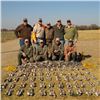 Image 1 : 4-Day Argentina Dove Hunt for 4 Hunters