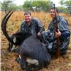 Image 1 : 3-Day South African Safari for 1 Hunter with Trophy Fee for a Sable