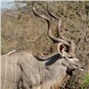 Image 3 : 5-Day South African Safari for 4 Hunters including $1,200 Trophy Fee Credit