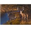 Image 1 : "Autumn Gold" -  Whitetail : By Nationally known artist: Pat Pauley