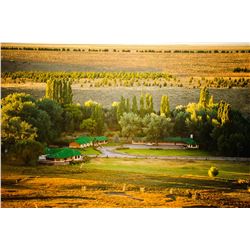 Argentina Big Game Hunt