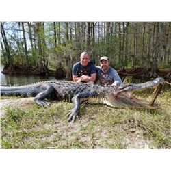 Florida Alligator Hunt