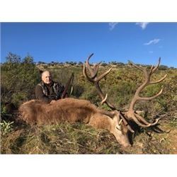 Iberian Red Stag Spain Hunt