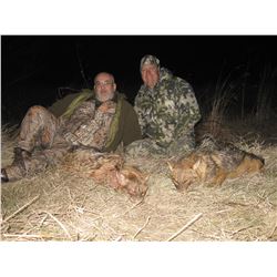 Wolf Hunt in Macedonia