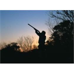 Uruguay Dove Hunt