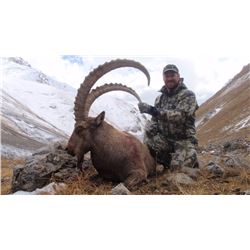 Mid-Asian Ibex Hunt