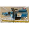 Image 1 : 3/4 HP INDOOR WATER PUMP