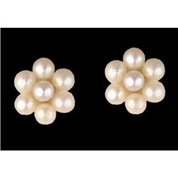 14KY Gold Flower Pearl Earrings