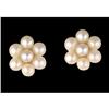 Image 1 : 14KY Gold Flower Pearl Earrings