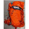 Image 1 : Gregory Hiking Bag (Brand New)