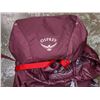 Image 2 : Osprey Hiking Bag (Brand new)