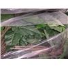 Image 2 : Approx. 10 bags of artificial and greenery flowers