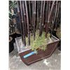 Image 2 : 7 artificial bamboo plants