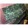 Image 1 : Large skid of greenery