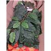Image 3 : Approx. 20 boxes of assorted artificial plants