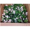 Image 2 : Approximately eight boxes of artificial plants