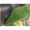 Image 6 : 2 rolls of 16ft. Wide turf carpet