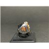Image 2 : CLEMSON TIGERS 2006 NATIONAL CHAMPIONSHIP REPLICA RING "WATSON"