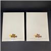 Image 2 : MEDIUM SIZE STAR HANGERS LOT OF 2