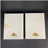 Image 2 : MEDIUM SIZE STAR HANGERS LOT OF 2