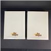 Image 2 : MEDIUM SIZE STAR HANGERS LOT OF 2