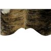 Image 8 : Exotic Tri-Colored Cowhide Brindle Premium Rug