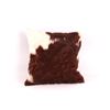 Image 8 : Holstein Spotted Cowhide Premium Pillow Set of Two